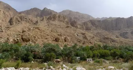 Wadi Tiwi