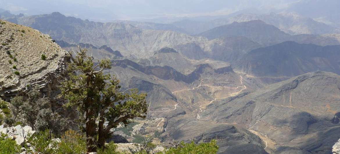 알하자르 산맥: 자연