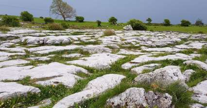 Wycieczka do Parku Narodowego Burren