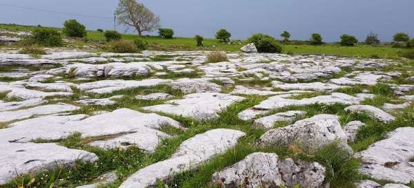 Výlet do národního parku Burren: Ubytování