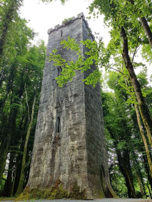 Torre di avvistamento della Guinness