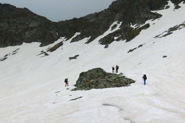 Campo de nieve