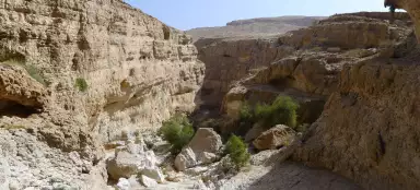 Caminhe pelo desfiladeiro de Wadi Bani Khalid