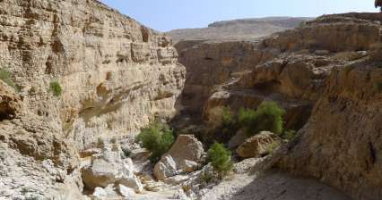 Camina por el desfiladero de Wadi Bani Khalid