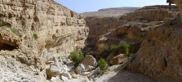 Balade dans les gorges du Wadi Bani Khalid: Hébergement