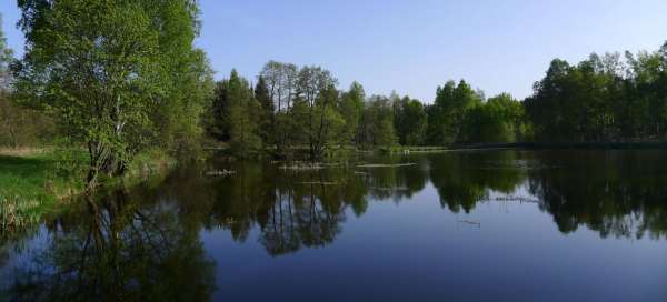 Pavlovské wetlands and Skalky: Visas