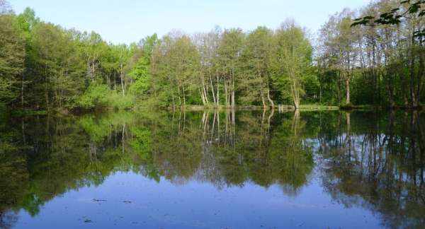 Pond near Pavlovsky Dvůr