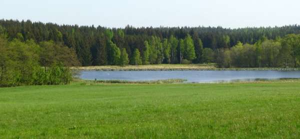 View of the second pond