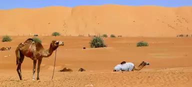 Viaje a Wahiba Sands