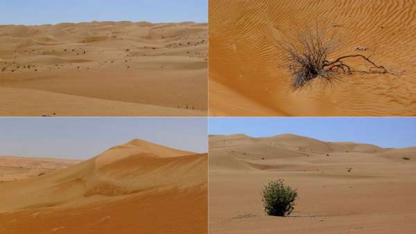 A walk through the desert
