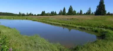 Una passeggiata nella torbiera di Božídarské