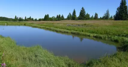 Spaziergang durch das Božídarské Torfmoor