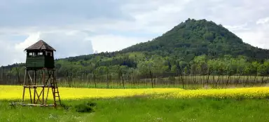 Ronov