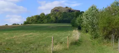 禿げた岩