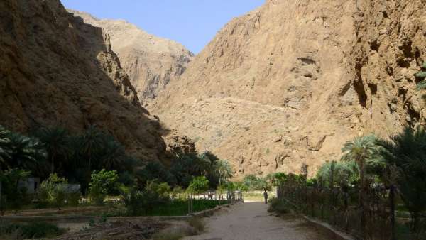 Pad tussen velden in Wadi Ash Shab
