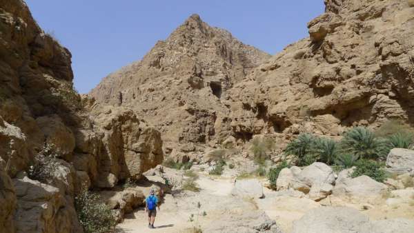 Przejedź przez wąwóz Wadi Ash Shab