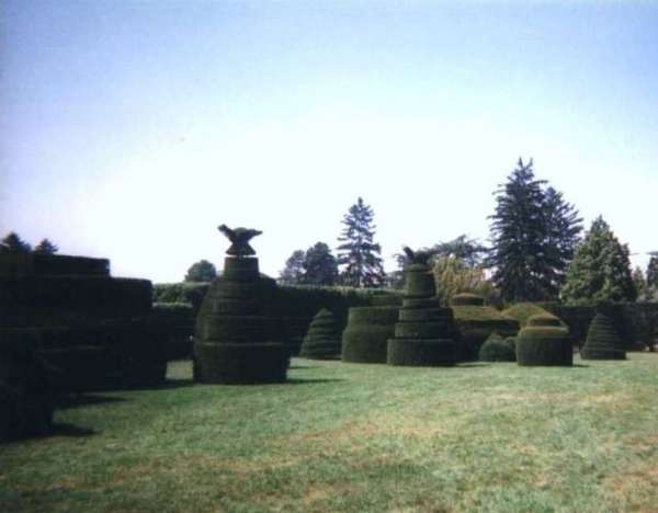 Ogród Topiary