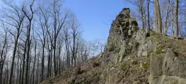 Nachtegaal