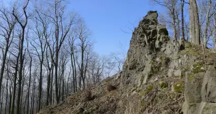 Nachtegaal