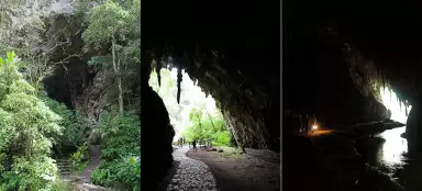 Grotte di Cueva del Guacharo