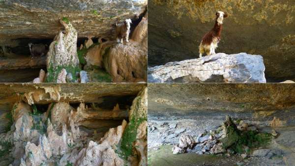 En cueva