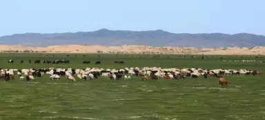 Dunas em Khogno Tarna