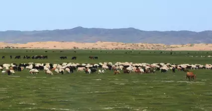 Les dunes de Khogno Tarna