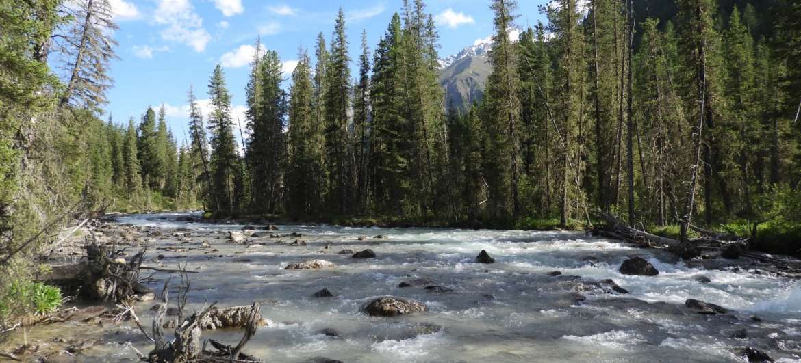 Wandern durch die Wildnis des russischen Altai wander: Tourismus