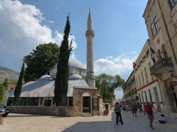 Mešity