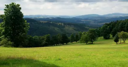 Rychlebské hory