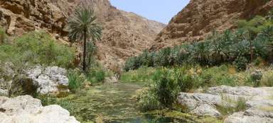 在 Wadi Ash Shab 峡谷徒步旅行