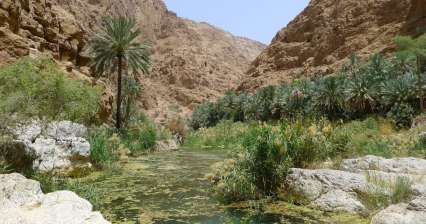 Wadi Ash Shab 협곡 내부로 하이킹