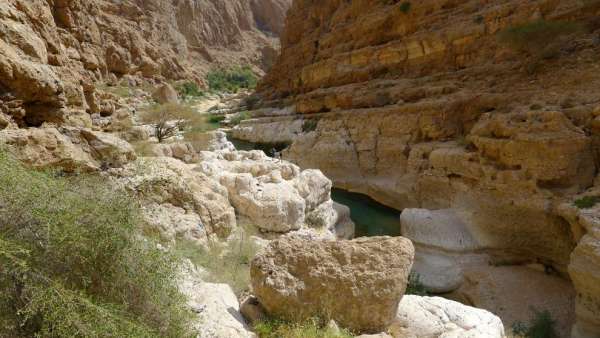 Above the swimming ponds