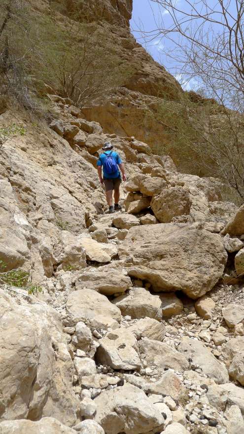 Ascent to the rock ledge