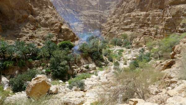 Un oasis desde lo alto