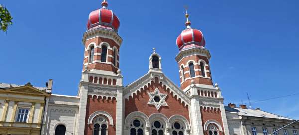 The Great Synagogue in Pilsen: Accommodations