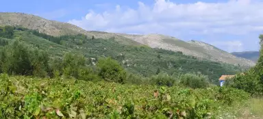 Giro nell'entroterra di Zante