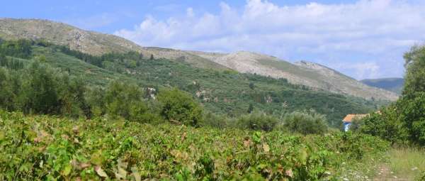 Blick auf die Berge von Zakynthos