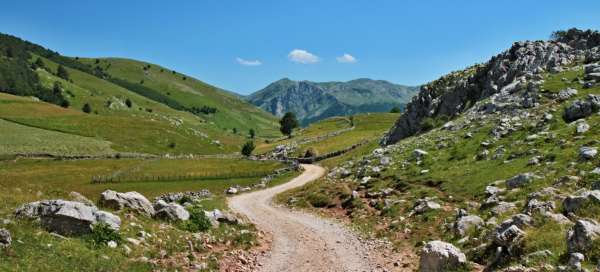 Bosna a Hercegovina: Bezpečnost