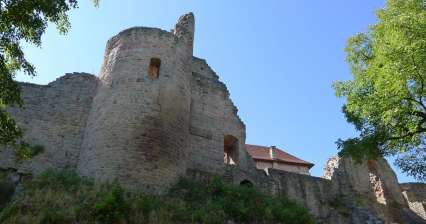 Pecka Castle