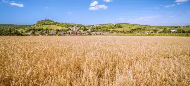 From Poysdorf to Falkenstein