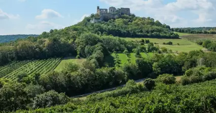 Weinviertel