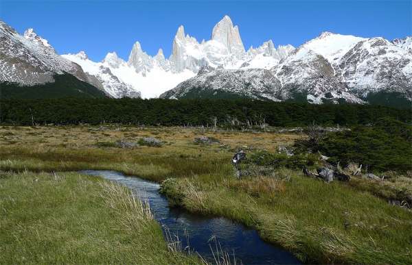 Peat bog and views of Fitz Roy