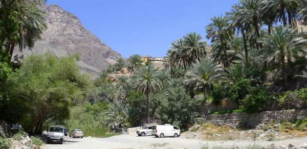 Al Ulyah Oasis