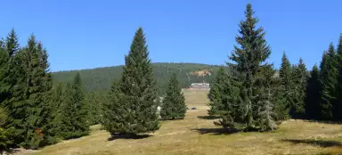 ホルニ・ロキトニツェをハイキング - ドヴォルザーチキ