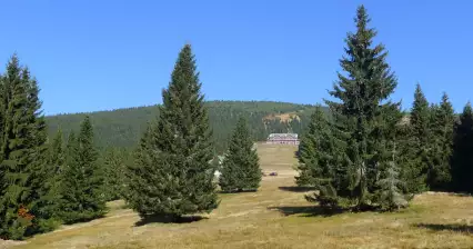 Túra Horní Rokytnice - Dvoračky