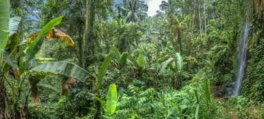 Bali - storia, cultura, natura