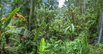 Bali - history, culture, nature