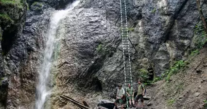 Gola pietosa