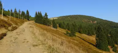 Caminata Dvoračky - U Růženčiny zahrádky